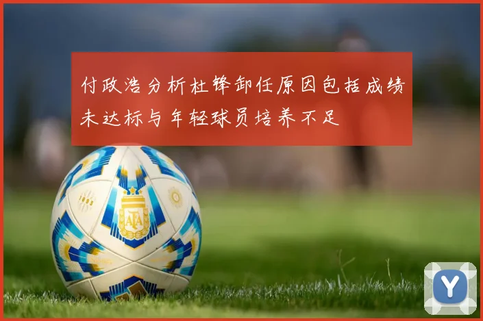 付政浩分析杜锋卸任原因包括成绩未达标与年轻球员培养不足