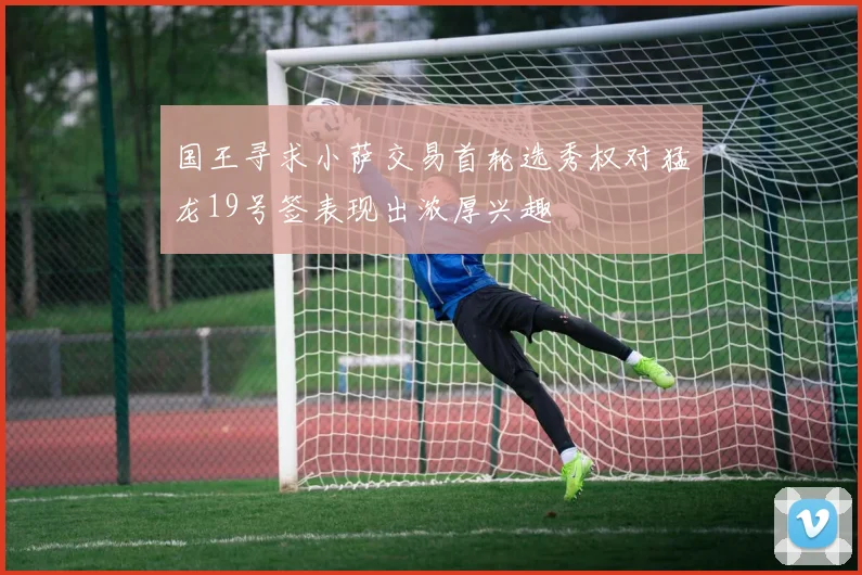 国王寻求小萨交易首轮选秀权对猛龙19号签表现出浓厚兴趣
