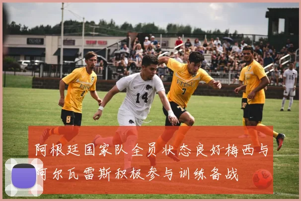 阿根廷国家队全员状态良好梅西与阿尔瓦雷斯积极参与训练备战